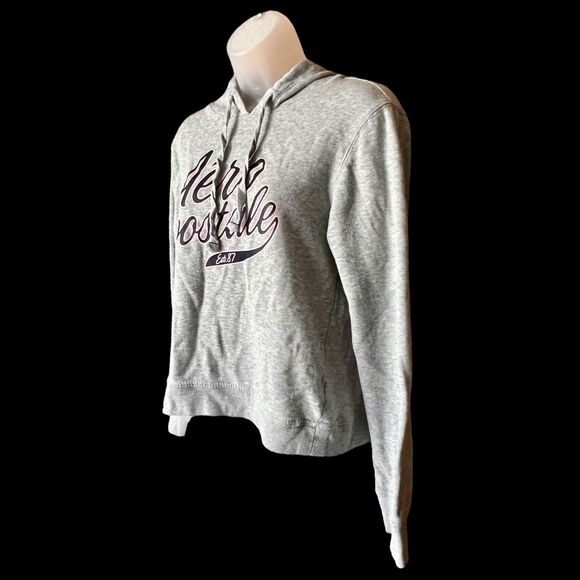 Aeropostale Blue/Pink Logo Graphic Cropped Grey Hoodie Pullover Sz M Y2K - Picture 8 of 10